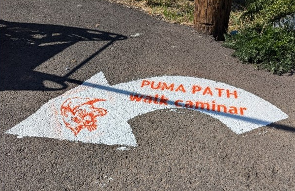 Puma path walk